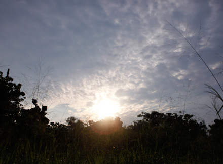 Chapter2-1 朝が来ればぜんぶ見える | 沖縄県竹富島 – P.023｜Area