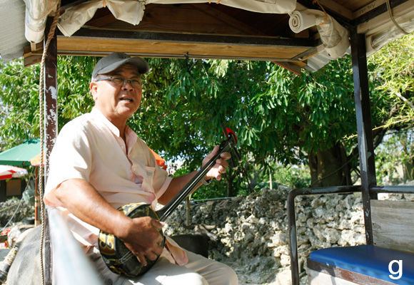 沖縄県竹富島 – P.034｜Area Magazine｜「colocal コロカル」ローカル