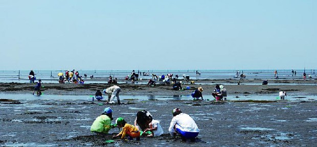 シーズンスタート！海辺のモグラ叩きことマテ貝採りが気になる