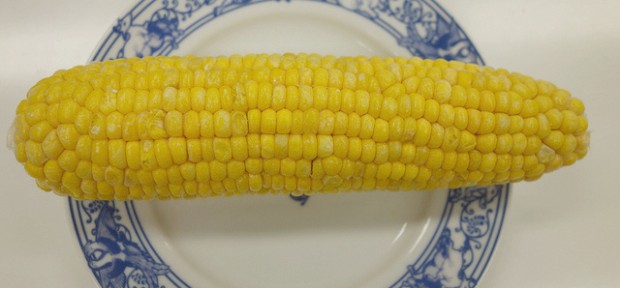 とうもろこしまるごと！ おいしい北海道の 「フリーズドライとうきび」