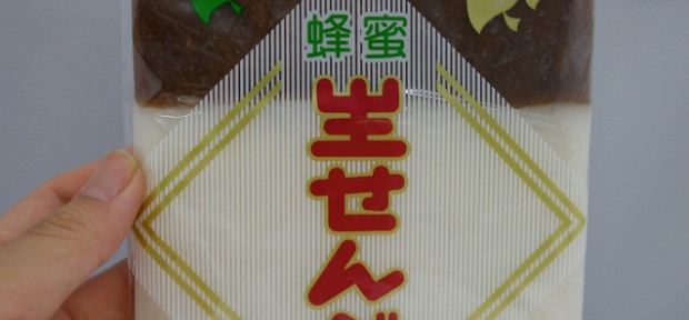 徳川家康の好物だった「生せんべい」。愛知県半田市のご当地銘菓のお味は？