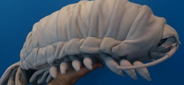 こだわりの「ダイオウグソクムシ」ぬいぐるみ、静岡の沼津港深海水族館からついに発売！