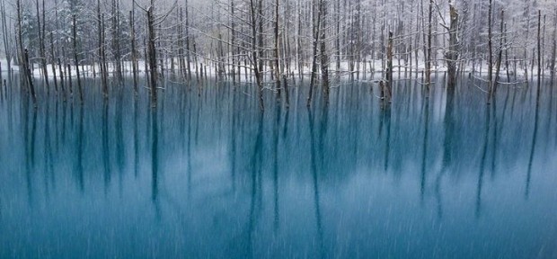 アップルの壁紙に初めて選ばれた 日本人写真家、ケント白石さんの 美麗北海道写真