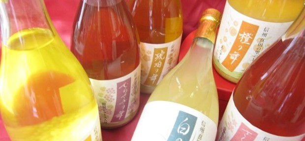 今日のグルメ： 長野県上田市のフルーツが入った 「四季の甘酒」