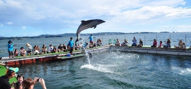 和歌山県でイルカと泳げる！「南紀田辺ビーチサイドドルフィンin扇ヶ浜」