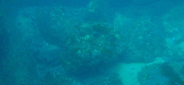 神話の国、出雲の ミステリアスな「海底遺跡」に ダイビングでお参りしよう