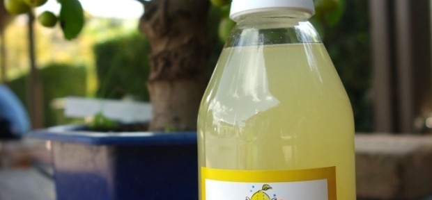 今日のおやつ： 千葉県鴨川産のレモンがいっぱい。 暑い日にぴったりの 「レモンはちみつ」