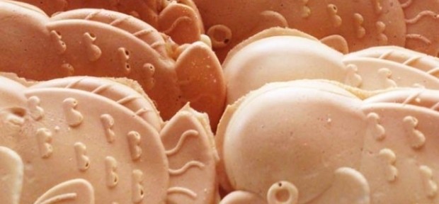 佐渡の大スター、コブダイの 弁慶＆ゴルにお別れ。 ＆かわいいお焼きの 「こぶちゃん焼き」