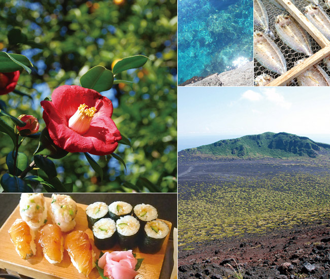 伊豆大島におでかけ