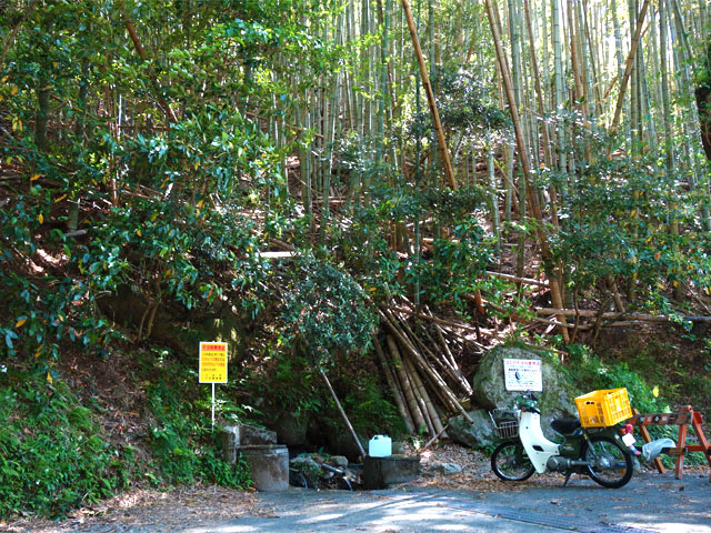 湧き水を高橋養蜂の帰り道に汲んで帰ります