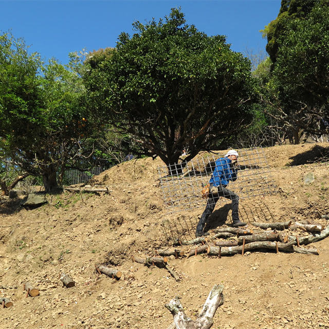 「ミツバチの楽園づくり」いまは獣害対策の柵を作成中