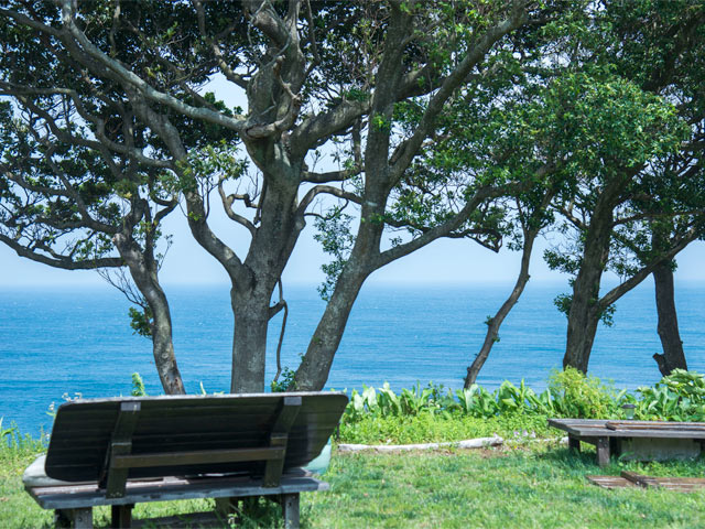 伊豆白浜バーベキューガーデンからも海が一望できます