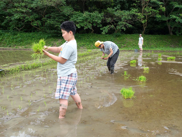 田植えは予想外に手こずる……