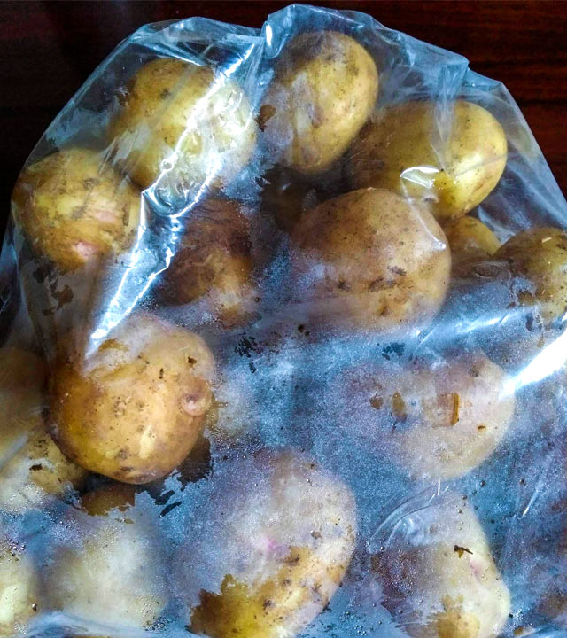 呼吸してるんだね、じゃがいも