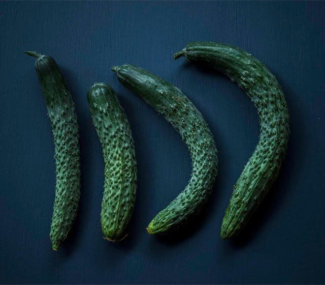 胡瓜だって、それぞれ形が違って個性がある