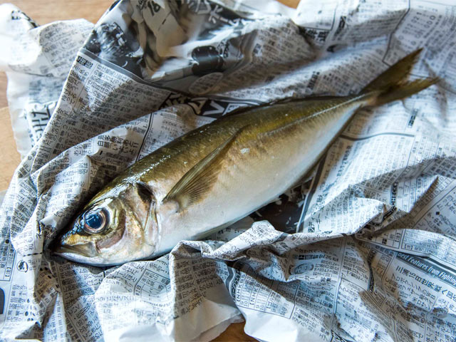 伊豆下田の美しいアジ