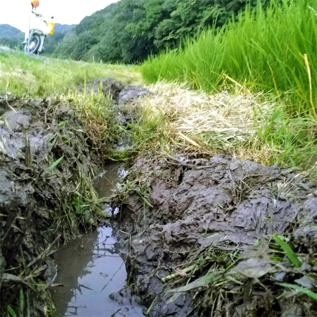 水路との間に溝を掘る
