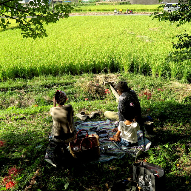 ヒエ刈りを手伝いにきてくれた友人と木陰で休憩