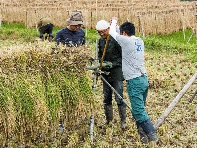 畳縁で竹を束ねる