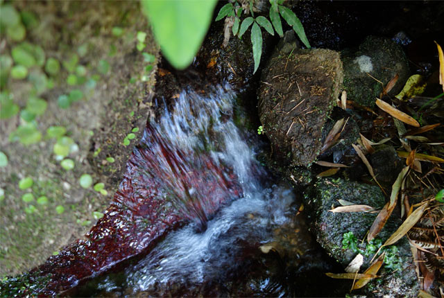 下田の湧き水