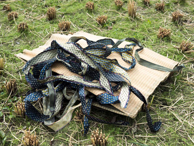 畳屋さんからもらった縁