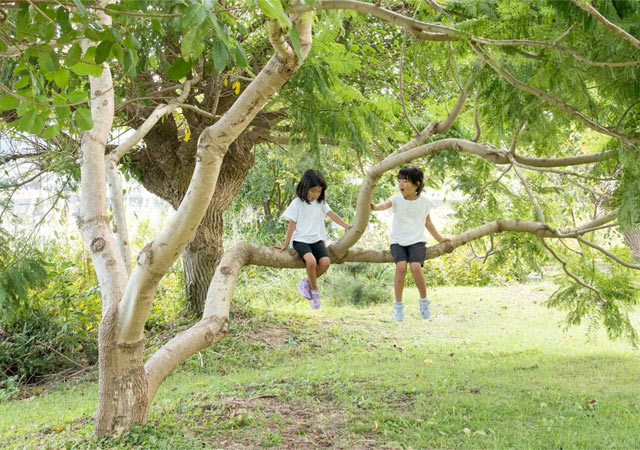 新しい友だちに恵まれた娘