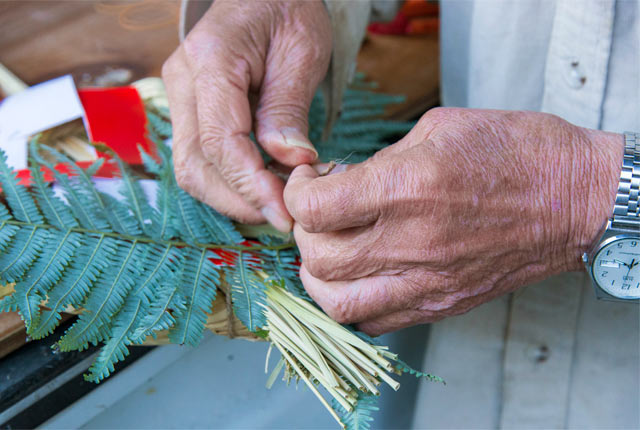 裏白（うらじろ）