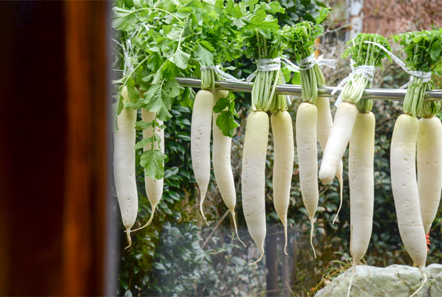 軒先に干した大根