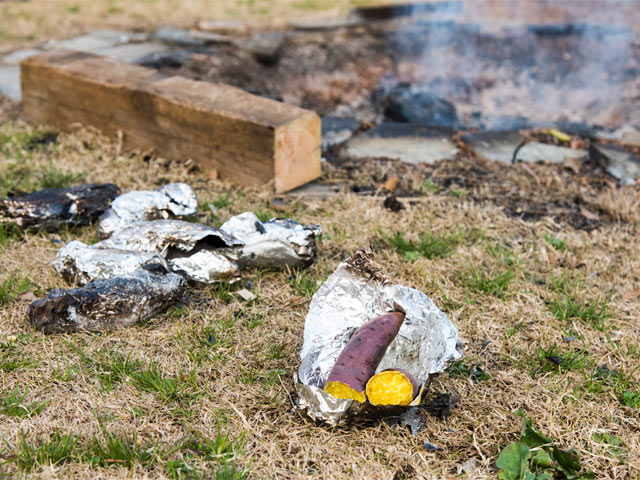 焚き火に仕込んでおいた焼き芋