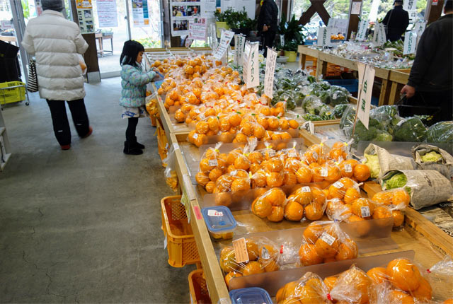 直売所南伊豆湯の花
