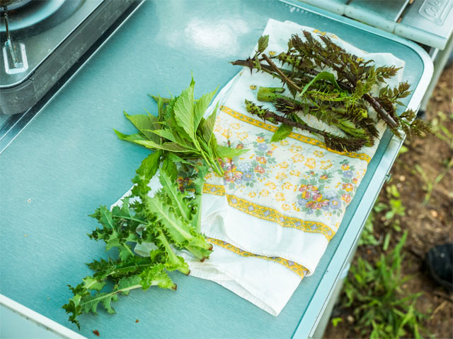 摘みたての野草