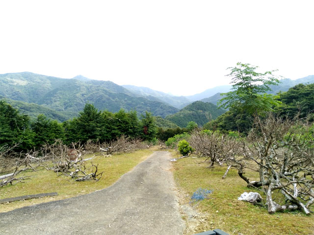 耕作放棄地となっていた山の中の農園