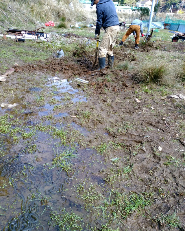 大きな水たまり