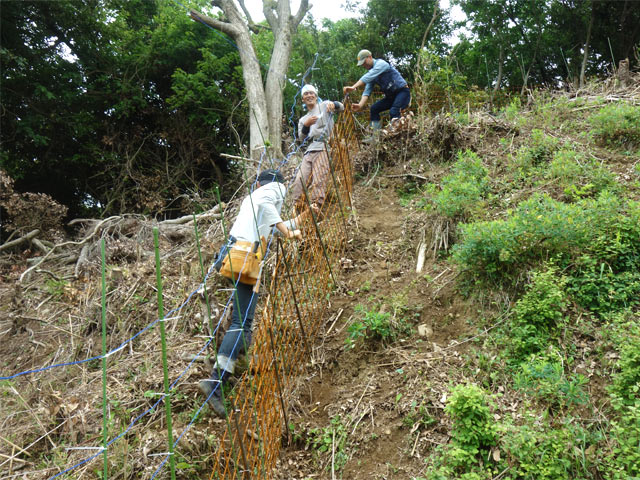 獣害対策用の柵の設置作業