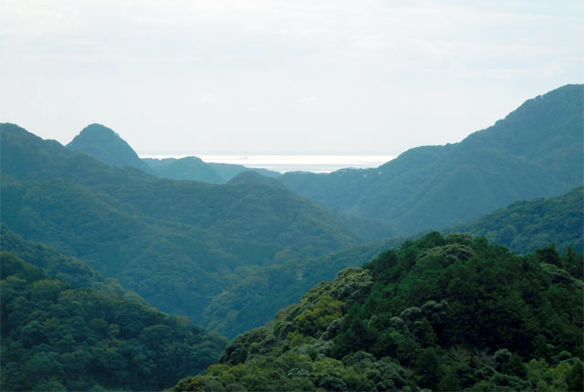 山あいから下田の海をのぞむ