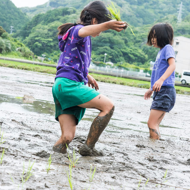 最初はおそるおそる泥の中へ