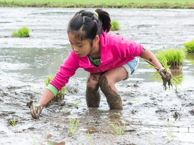 手伝いに来てくれた娘の同級生