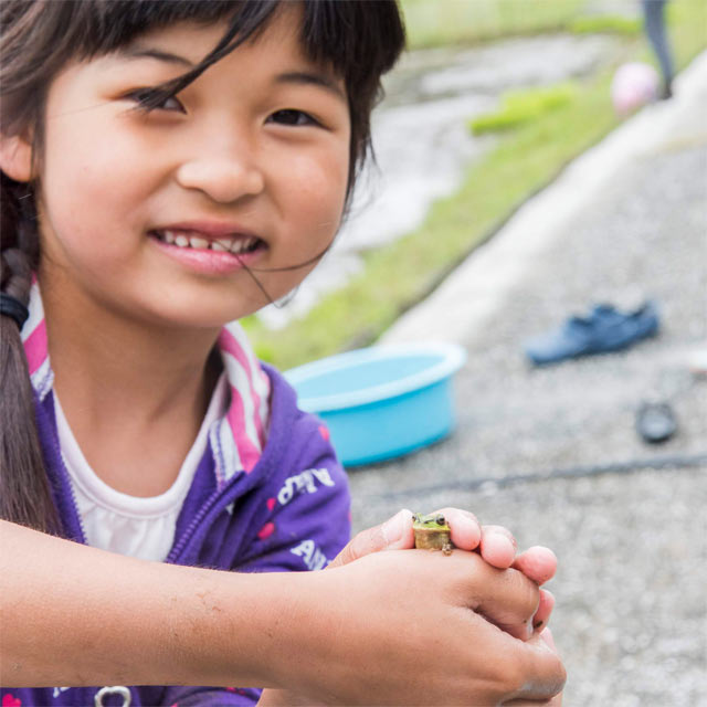 カエルを捕まえた