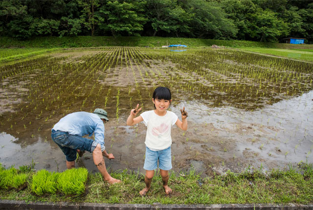 補植という作業中