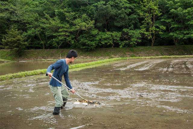 柄振（エブリ）を使った土をならす作業