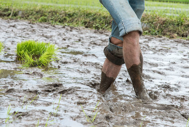 スネまで泥んこ