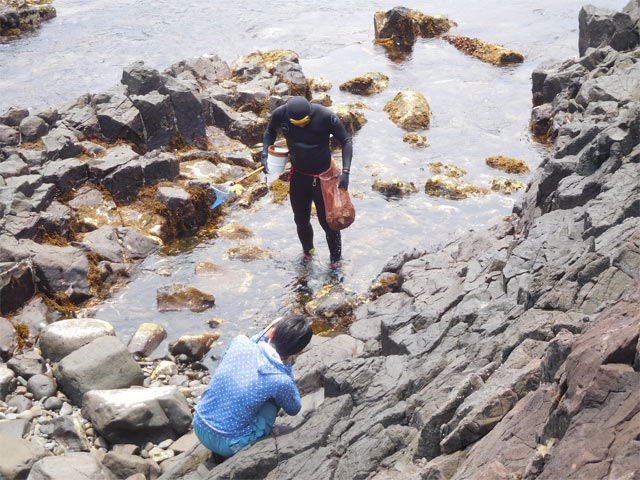 海からあがってきた漁師さんを撮影する妻