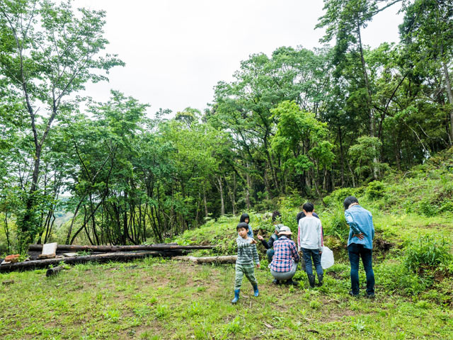 「食べられる野草ワークショップ」の模様