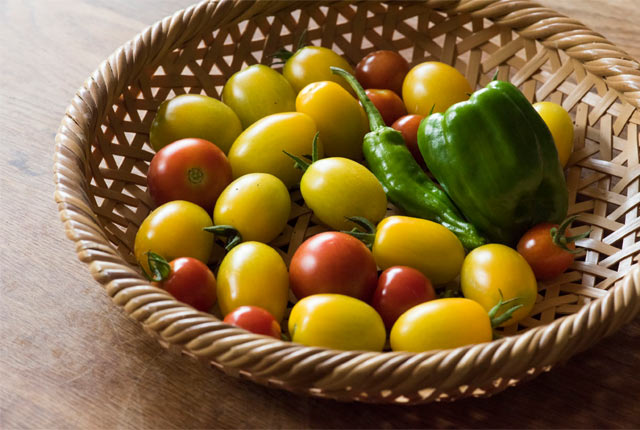 庭で育てたトマトやピーマン