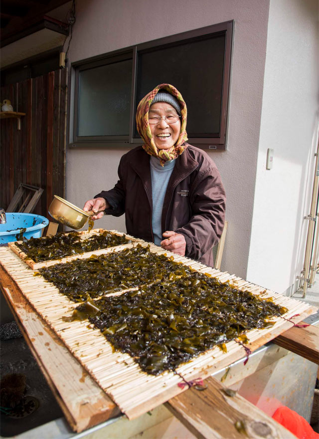 「はんば海苔」づくりの作業風景
