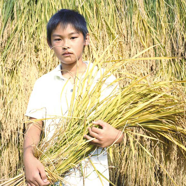 『田園ドリーム』からの1枚