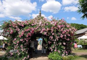 〈赤磐サンクスギビングARTデイ〉西日本初の本格的なイングリッシュガー …
