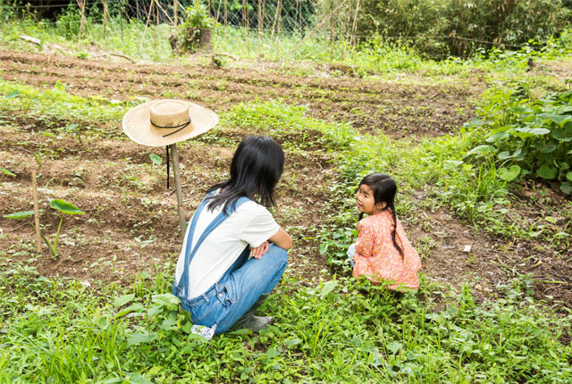 無農薬栽培の畑