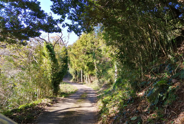 松川さんの家に続く山道