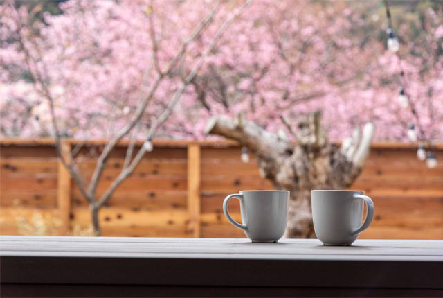 テラスのテーブルにマグカップ